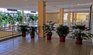 Rendezvényterem, konferenciaterem