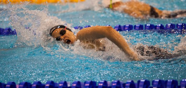 Összeolvadhat a városi úszósport két egyesülete: a HSÚVC és a Hód-Úszó SE
