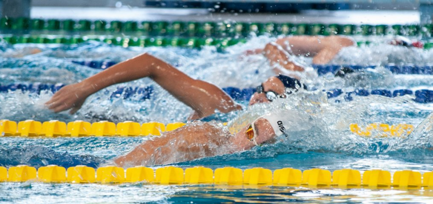Hód-Faktor Schwimmmeisterschaft